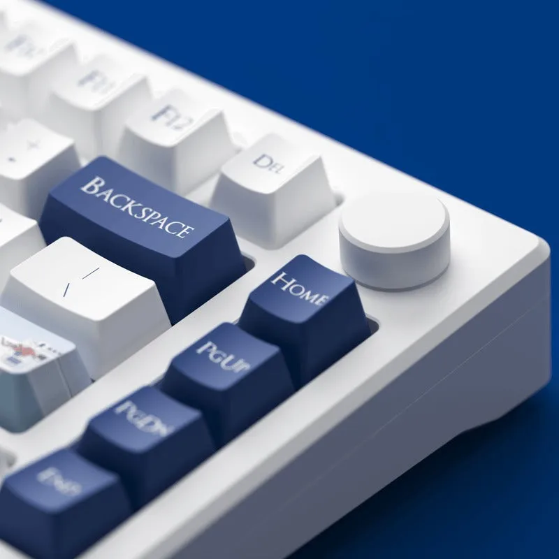Akko MOD 007B HE PC Santorini Tri-Mode RGB Hot-Swappable Mechanical Keyboard (Kailh Sakura Pink Magnetic Switch)