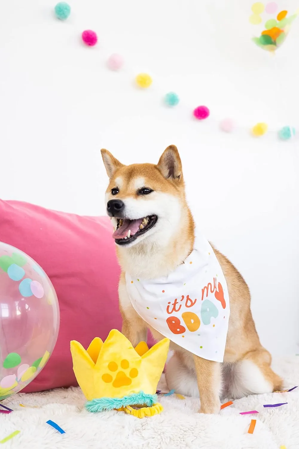 Pearhead Happy Barkday M/L Bandana Hat Set, Pet Birthday Gift, Dog Birthday Party Accessories, Party Hat and Bandana for Dogs, Pet Owner Must Have Accessories, Medium/Large