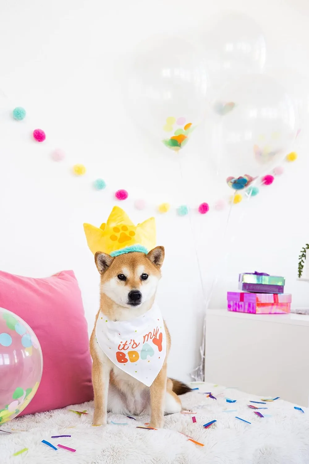 Pearhead Happy Barkday M/L Bandana Hat Set, Pet Birthday Gift, Dog Birthday Party Accessories, Party Hat and Bandana for Dogs, Pet Owner Must Have Accessories, Medium/Large